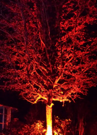 Hochzeiten.events Technik mieten bei Theimer und Mager Veranstaltungstechnik in Frankfurt am Main und Rhein Main Gebiet